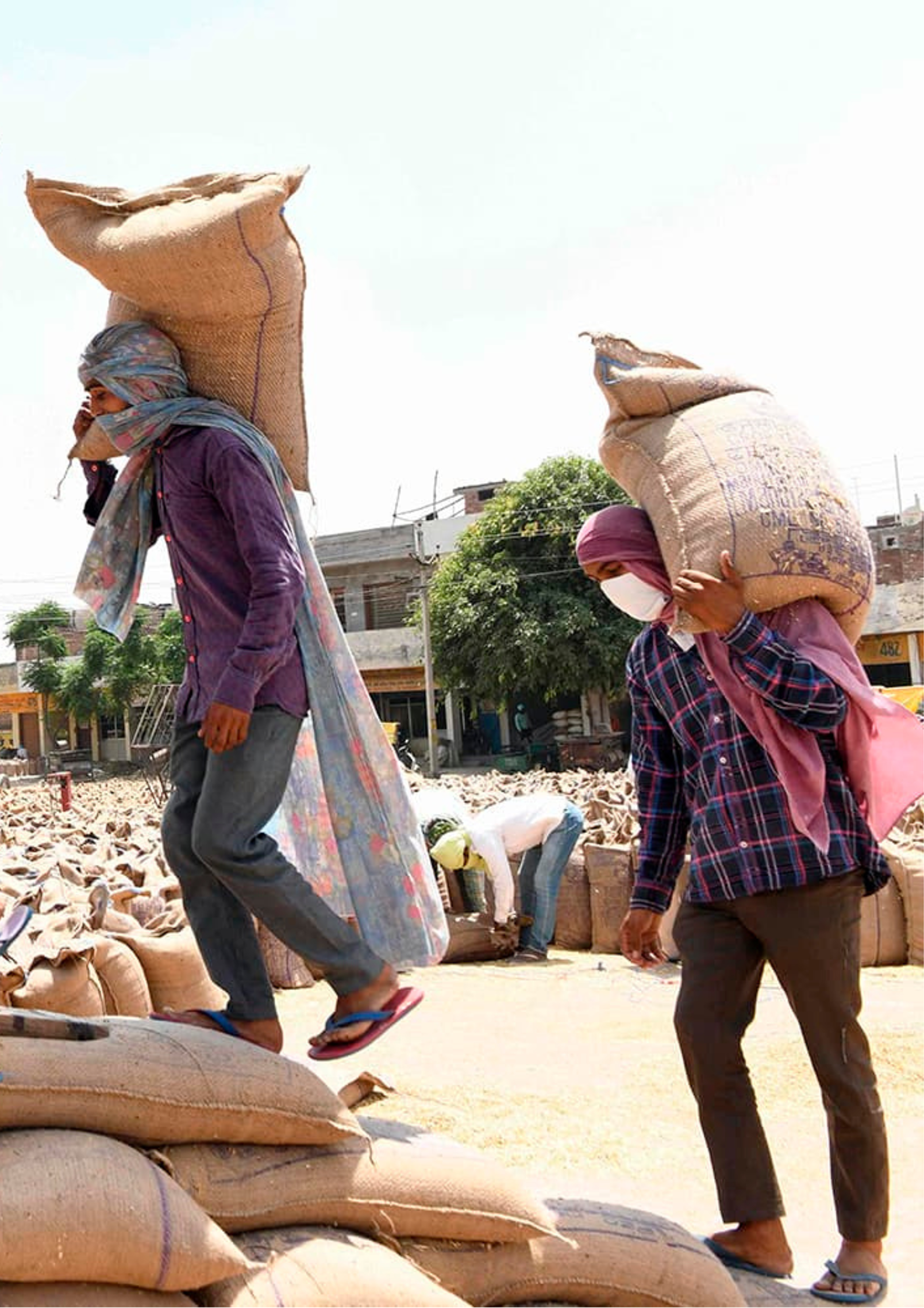 Target approach - worker in field